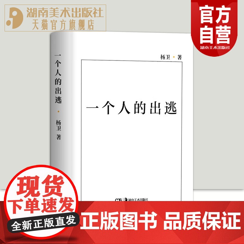 正版 一个人的出逃 谢德庆生平事迹当代行为艺术传记杨卫 湖南美术出版社
