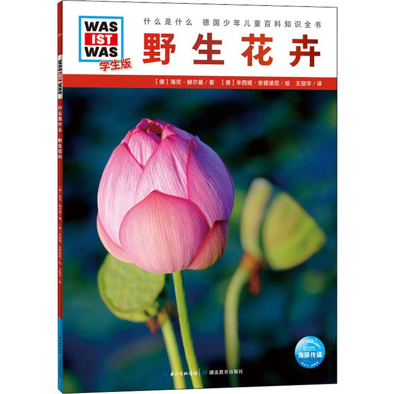 醉染图书野生花卉 学生版9787556429219高清大图