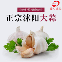 [江苏乡村振兴][财政集采][沭阳]虞美人 沭阳大蒜 25kg