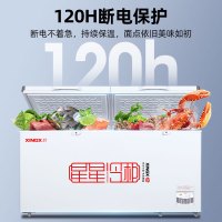 星星(Xingx)BD/BC-528GE 518升 冰柜冷柜 厨房商用保鲜设备卧式大容量 冷藏冷冻转换单温冰柜 一级能耗