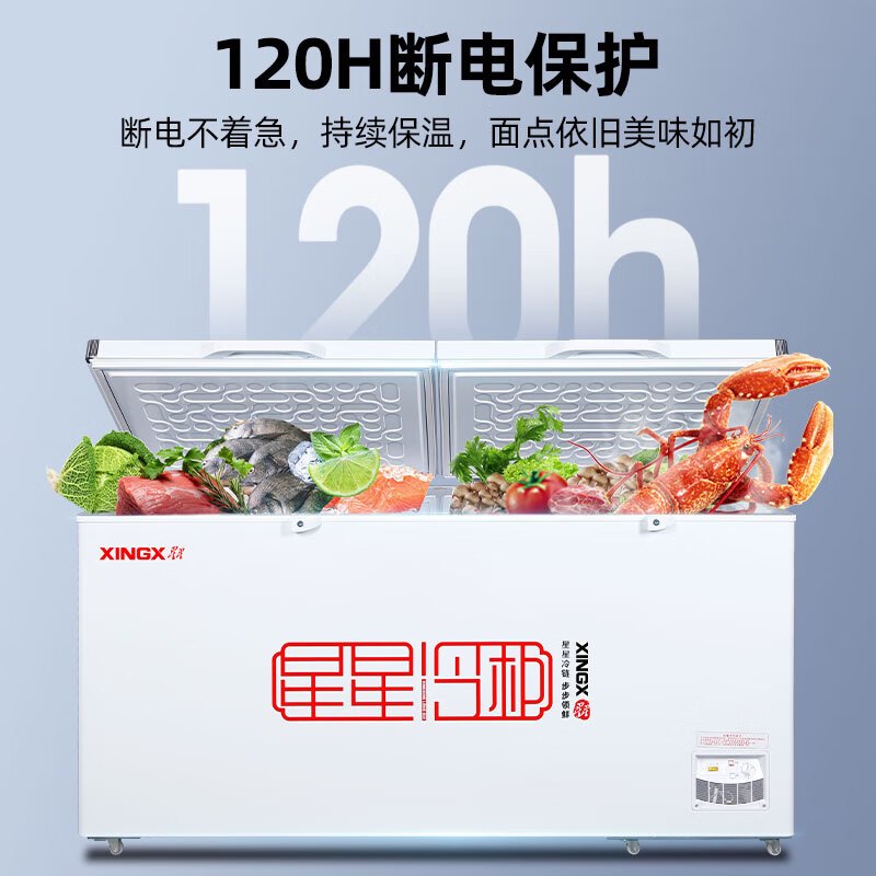 星星(Xingx)BD/BC-528GE 518升 冰柜冷柜 厨房商用保鲜设备卧式大容量 冷藏冷冻转换单温冰柜 一级能耗