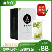 2025绿茶上市 极白安吉白茶特级49.5g原产地正宗春茶明前茶叶
