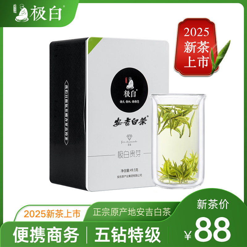 2025绿茶上市 极白安吉白茶特级49.5g原产地正宗春茶明前茶叶