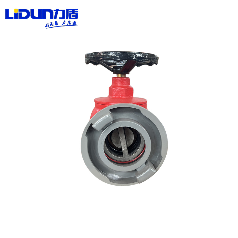 力盾 室内消火栓 SNW65-III 台高清大图