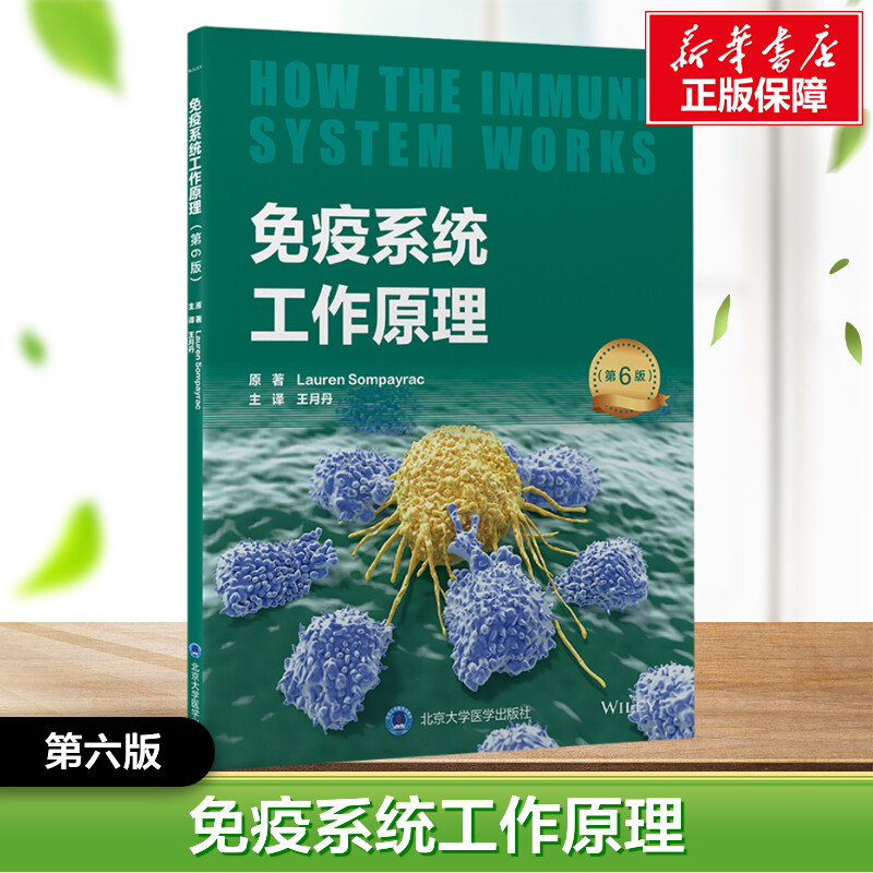 免疫系统工作原理:第6版 [正版]免疫系统工作原理第6版劳伦·松佩拉克著现代医学免疫学核心知识 基础免疫学临床免疫学与疾高清大图