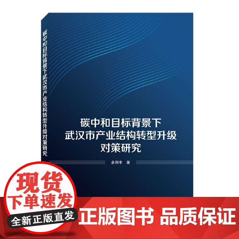 碳中和目标背景下武汉市产业结构转型升级对策研究高清大图
