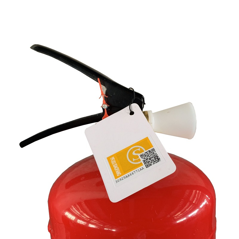 威能 手提式干粉灭火器 1KG MFZ/ABC1 219140120010