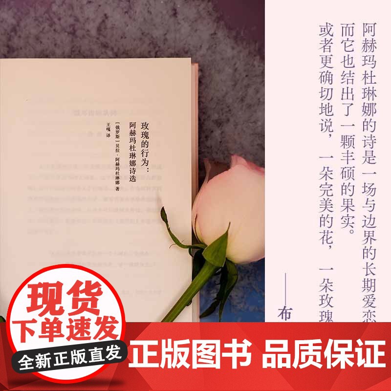 玫瑰的行为:阿赫玛杜琳娜诗选(俄语直译 中文世界初次引进)俄罗斯诗歌的珍宝阿赫玛杜琳娜诗歌精选集备受布罗茨基推崇现代诗集高清大图