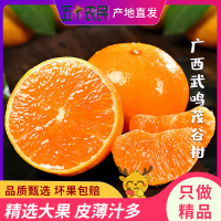 (挂树上的‘芬达’)五个农民广西武鸣茂谷柑9斤精选A级70-80mm+特大果礼盒装新鲜水果自营生鲜柑橘应季整箱