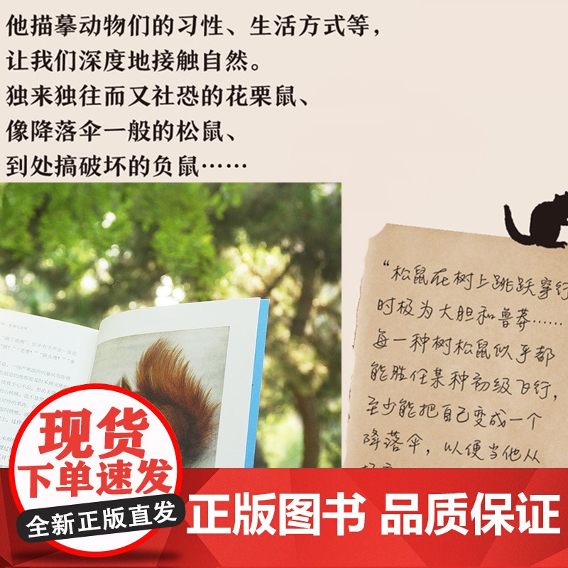 雪夜,狐狸毛茸茸高清大图