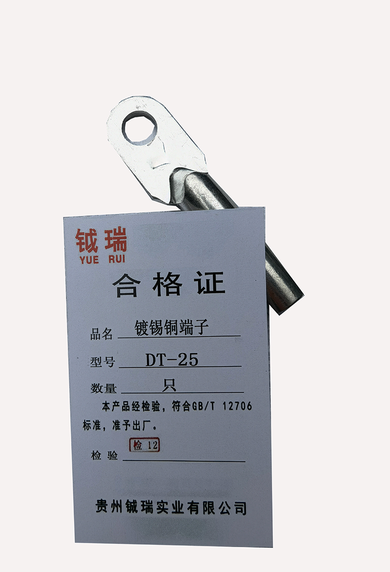 钺瑞镀锡铜端子DT-25/只