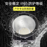 侨智塔吊灯建筑之星工地灯球场户外射灯防水投光探照灯 1500W经济款