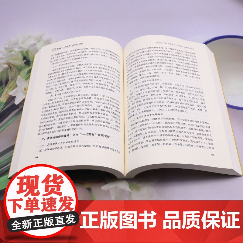 青海省“一优两高”战略评价研究高清大图