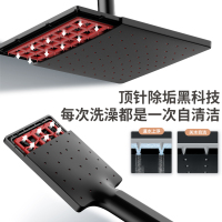 箭牌卫浴(ARROW)卫浴花洒 增压淋浴套装挂墙式不锈钢可旋转升降 精铜主体花洒头 多功能黑色花洒AE3449MB-P1
