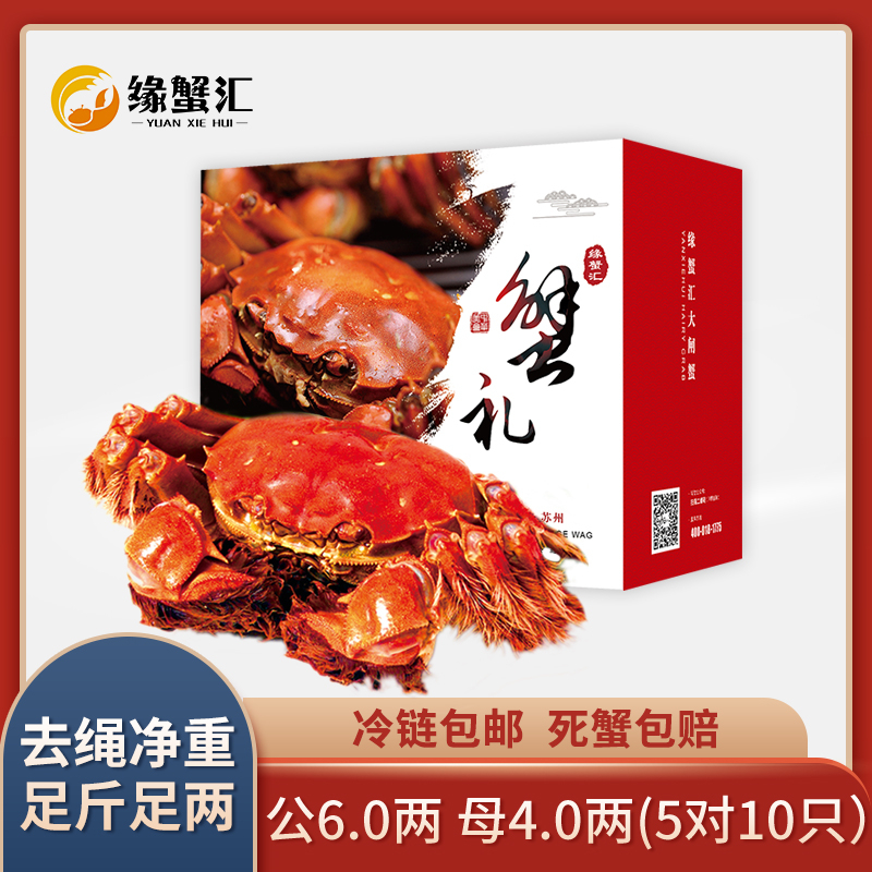 [活蟹]缘蟹汇牌大闸蟹6888型 公蟹6.0两/只 母蟹4.0两/只 5对10只 去绳净重 生鲜活蟹 中秋礼品