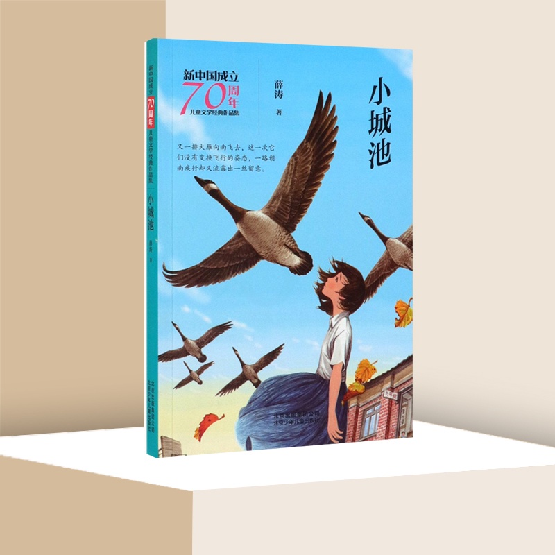 小城池 [正版]小城池 薛涛著 儿童文学作品集三四五六年级小学生成长励志课外阅读 北京少年儿童出版社凤凰书店高清大图