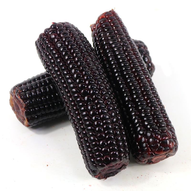甘肃黑玉米