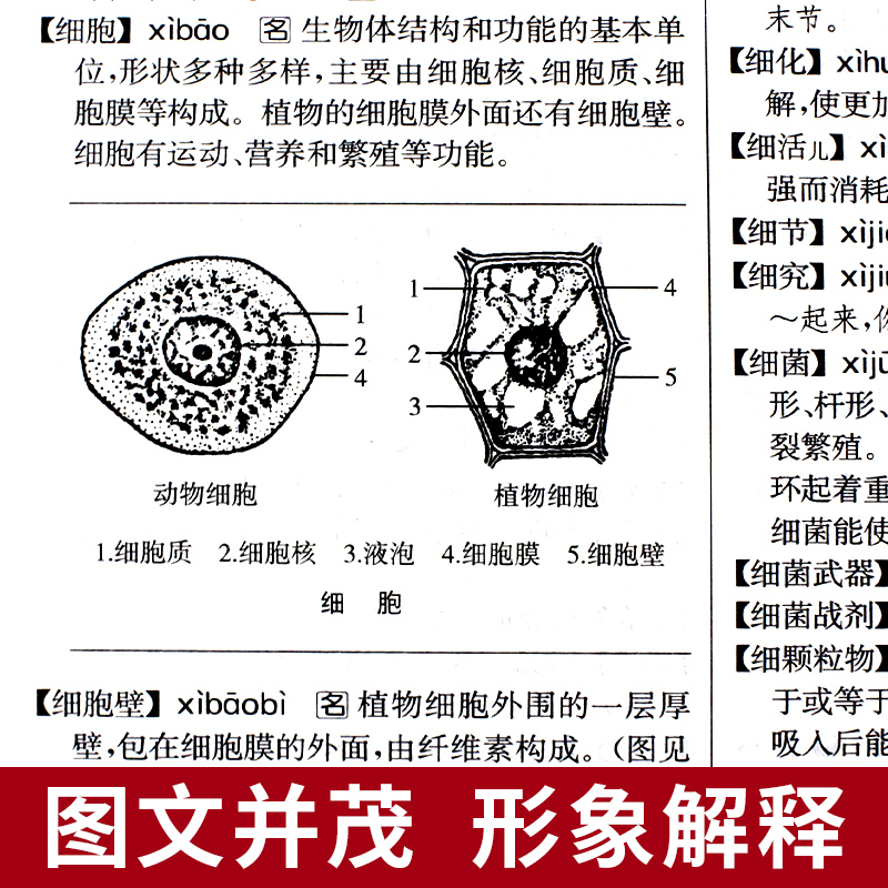 现代汉语词典第7版 [正版]精装硬壳现代汉语词典第7版第七版高清大图