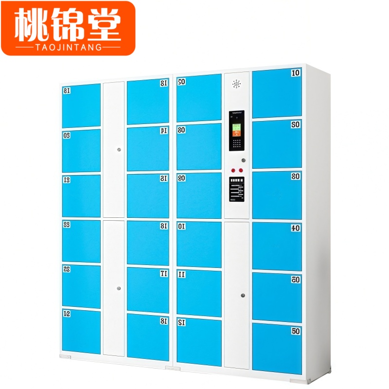 桃锦堂存包柜高清大图
