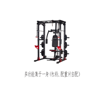迈特森龙门深蹲训练器MS480