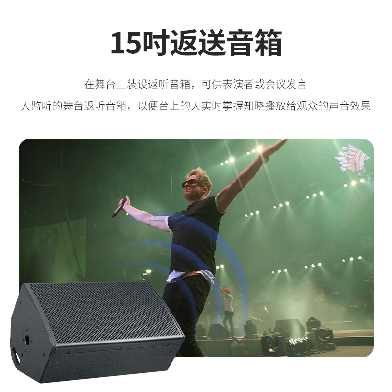 润普Runpu会议室户外舞台演出线阵音响套装 礼堂会议大厅阶梯教室全套线阵音箱组合RP-XZT24高清大图
