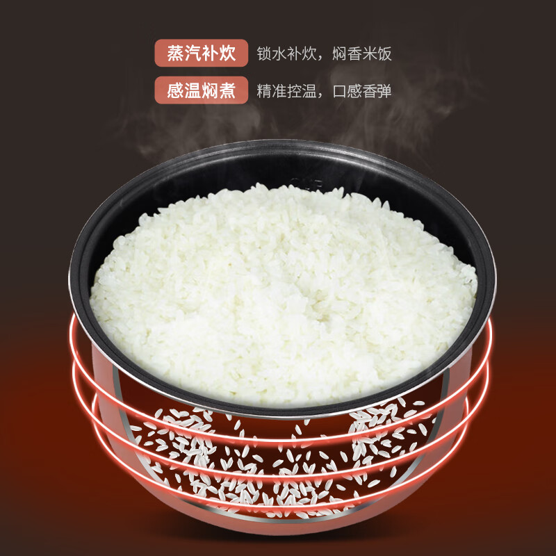 爱仕达电饭煲AR-F30E920(影)高清大图