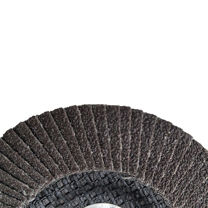 言臻 百叶轮 100*16mm 片高清大图