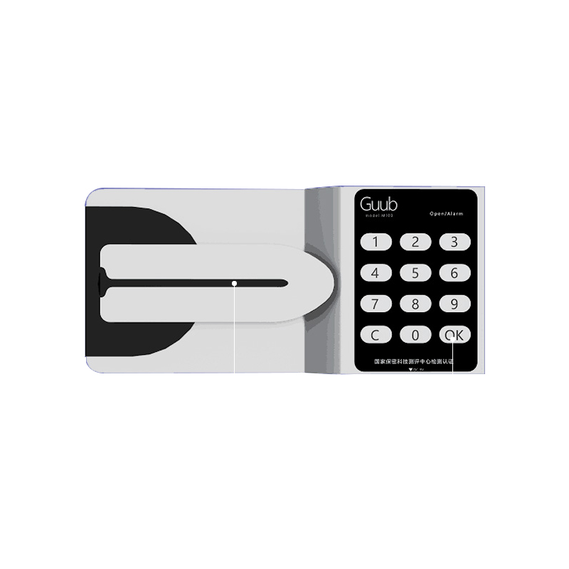 湘渭保险柜铁皮资料柜矮柜办公室储物柜通门白色国宝锁900*420*1850高清大图