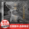 奔腾不息 雨河岸海与亚洲历史的塑造(万有引力书系) 苏尼尔·阿姆瑞斯 著 历史