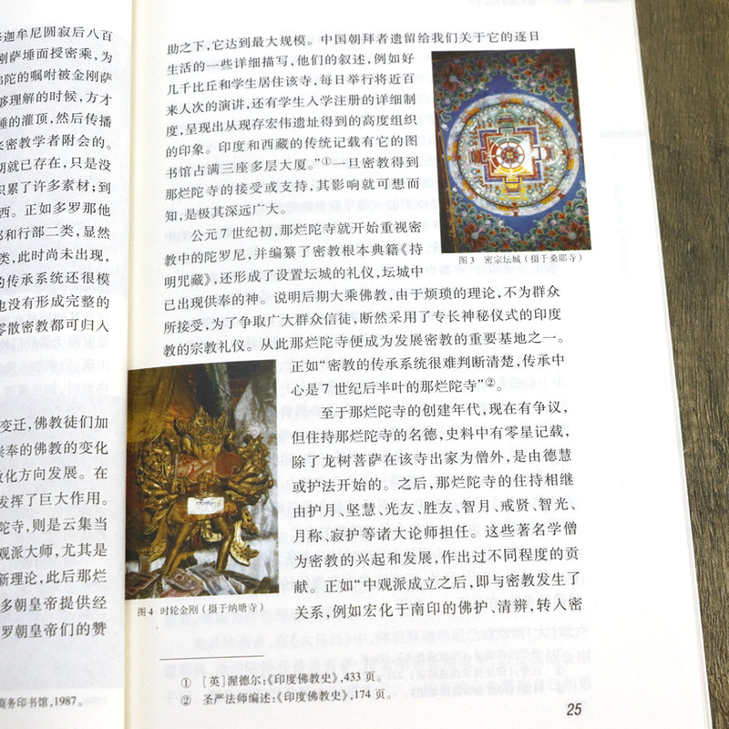 [正版]密宗:藏传佛教神秘文化 藏传佛学及其密教的历史渊源文化习俗和建筑艺术书籍高清大图