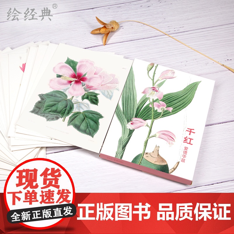 明信片《千红》水彩大师爱德华兹绘 32张名家花卉水彩画册集艺术明信片小卡片手绘插画简约小清新文艺日系复古风生日贺卡创意礼高清大图