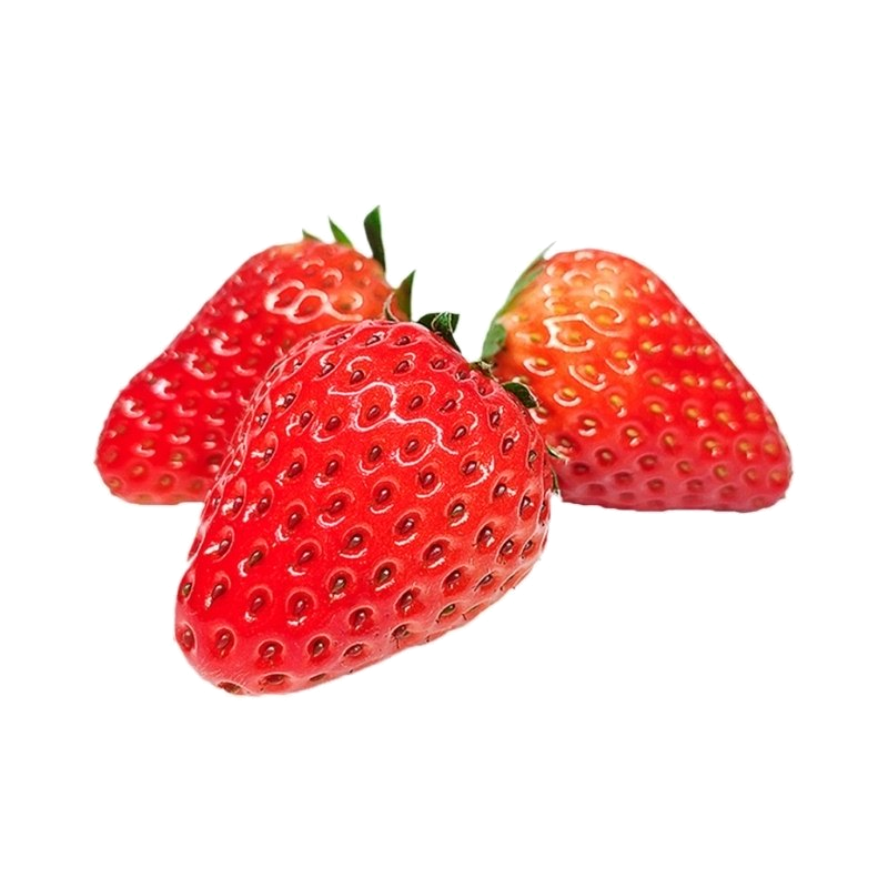 顺丰快递[熊猫鸟]彩箱装 四川正宗大凉山露天草莓 大果 单果25g左右 净重2.4斤 (300g*4) 吸塑盒高清大图