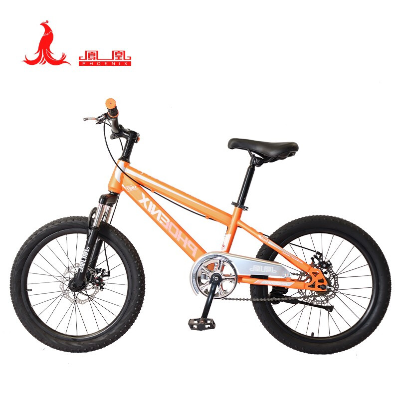 凤凰(PHOENIX) 20寸学生自行车-贝塔 TT-20 (辐条轮)橘高清大图