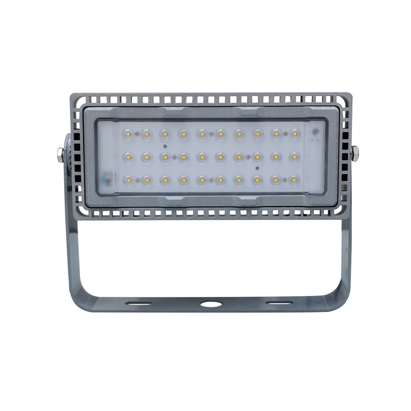 雷森旭 LED泛光灯 WF285B 100W 个