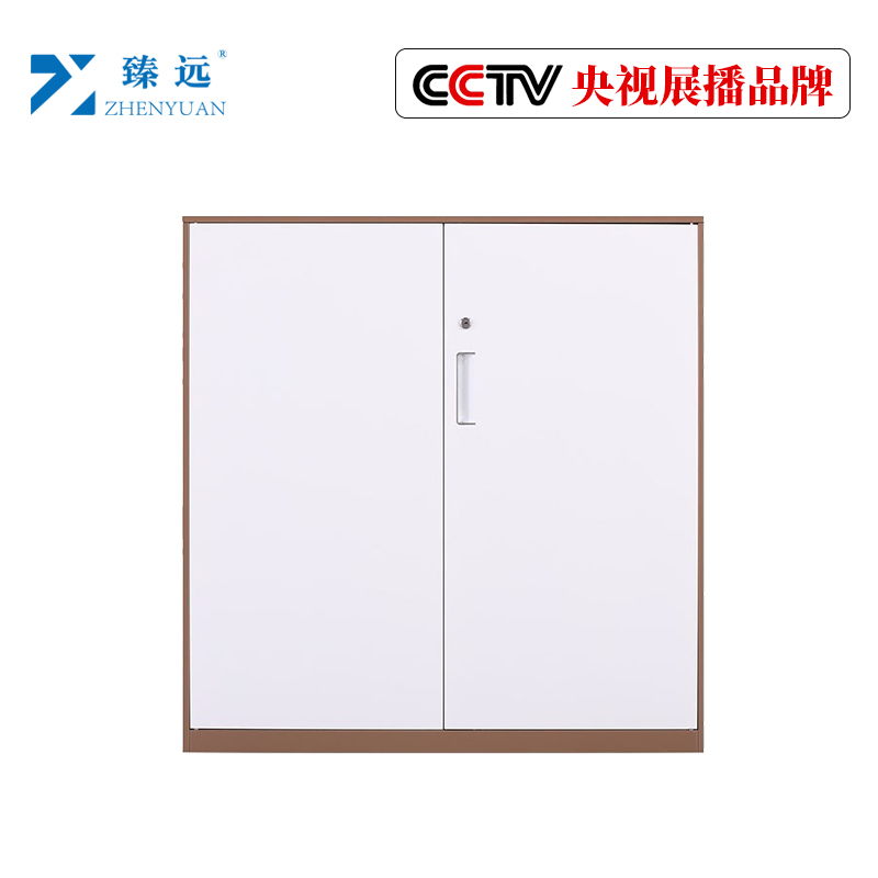 臻远文件柜办公柜钢制铁皮柜资料档案储物柜拆装窄边柜咖白色加厚款 925对开铁柜
