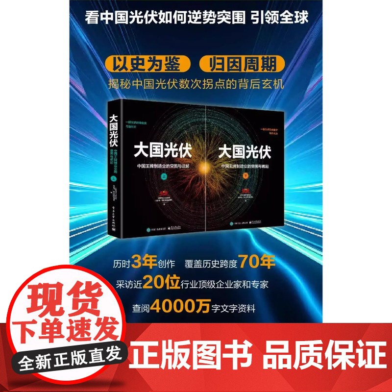 大国光伏中国王牌制造业的突围与崛起店 大国光伏 中国光伏行业数十年发展历程与辉煌成就的纪实性著作 电子工业出版社