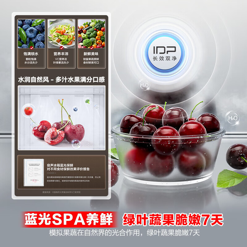 容声 BCD-507Q30FZLBP 507升IDP2.0净味双系统法式多门四开门嵌入式一级能效家用电冰箱高清大图