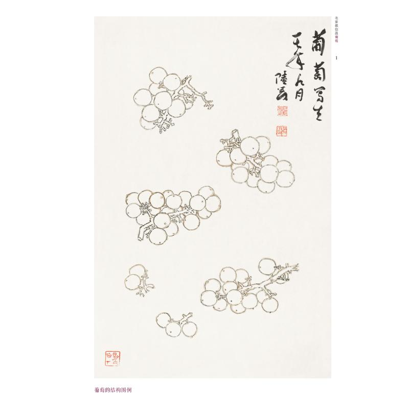 醉染图书名家教你画葡萄9787540152734高清大图