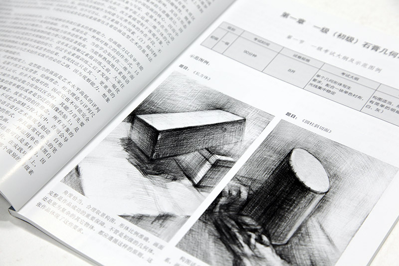 [正版图书]素描考级教程(1-6级)张楠 素描几何体静物写生五官写生入门基础教材 考试大纲示范图例 技法训练应试要点 优高清大图