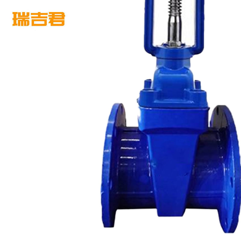 瑞吉君 软密封明杆闸阀 DN65 个高清大图