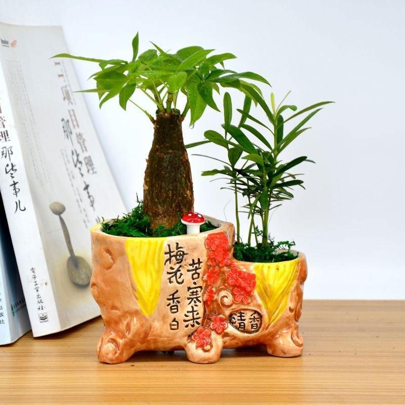 宁百辰ningbaichen园艺用品