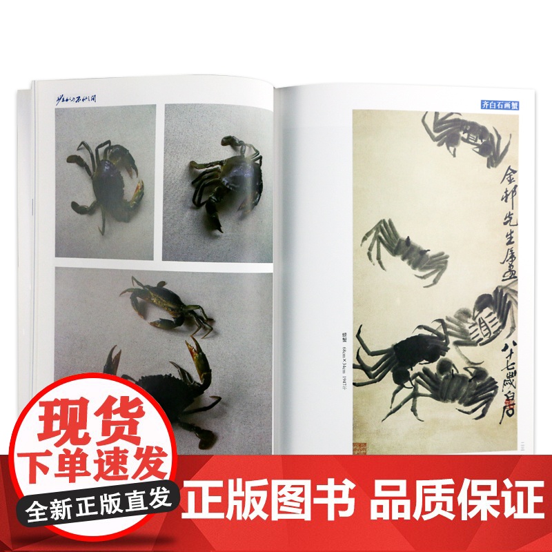 正版 齐白石画蟹-妙在似与不似之间 湖南美术出版社店高清大图