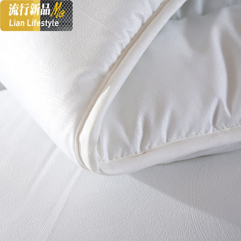 暖冬被加厚保暖棉被芯学生宿舍单人春秋冬天被子被褥单双人空调被三维工匠高清大图