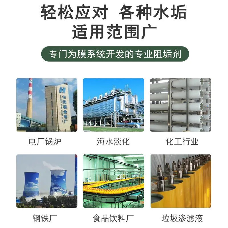 FESTO 洗洁清洗剂/精 500g(瓶)高清大图