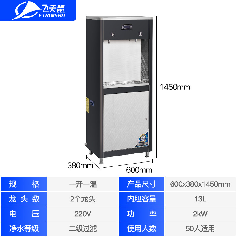 飞天鼠(FTIANSHU)商用开水器大型柜式直饮水机全自动电热双头一开一温TX-2G
