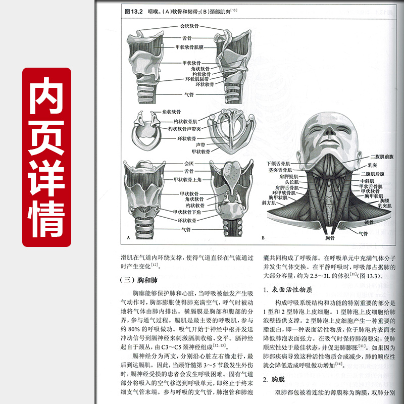[正版] ACCCN重症护理第3版 主译李庆印 左选琴 孙红 急危重症护理学参考书 护士临床护理操作教程 人民卫生出版社高清大图