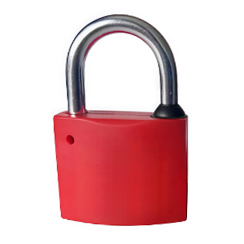 鸿灵睿芯 GS12 不锈钢+锌合金 30mm*20mm 挂锁(计价单位:个)红色高清大图