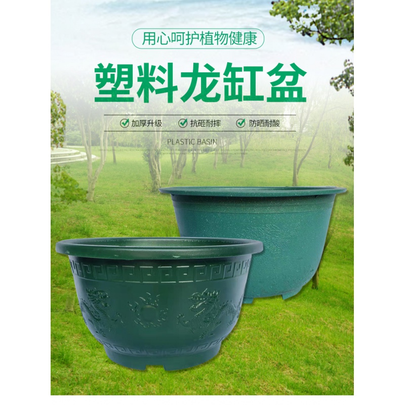 塑料庭院种植铁树古达盆景大花盆加厚烤漆龙缸盆 花盆