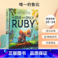 独一无二的卢比(英版) 【正版】英文原版The One and Only Ivan的伊万/伊凡儿童文学小说真实故事改I版