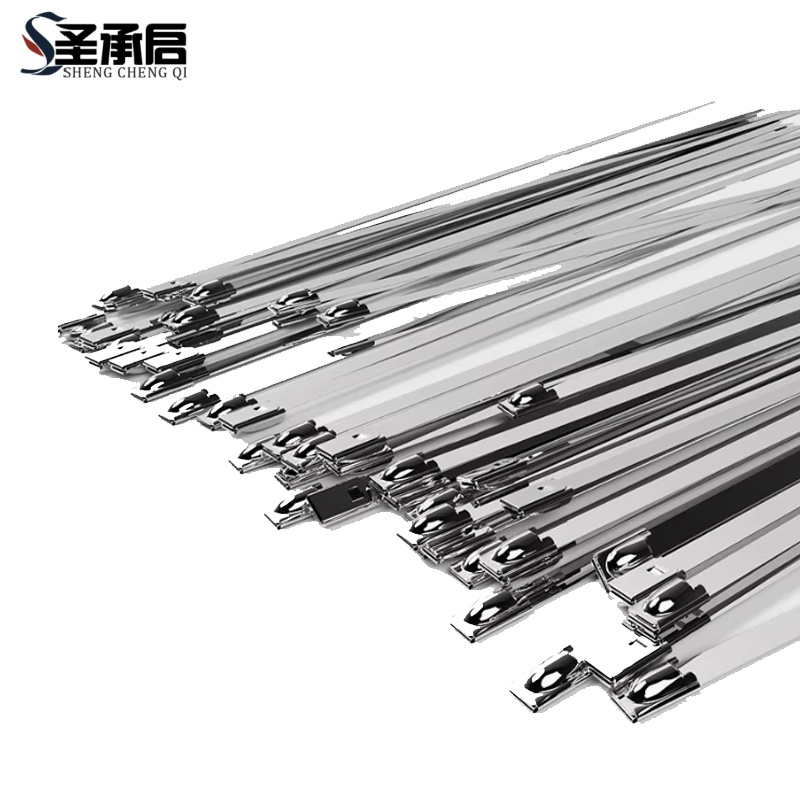 圣承启 扎带 12*300mm根